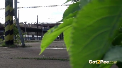 Pissing In The Train Station