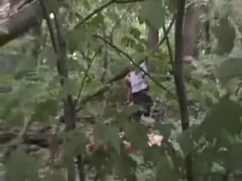 Black whores orgy in the park.